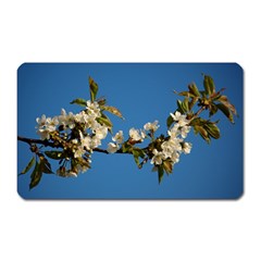 Cherry Blossom Magnet (rectangular)