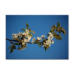 Cherry Blossom A4 Sticker 10 Pack