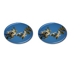 Cherry Blossom Cufflinks (oval) by Siebenhuehner