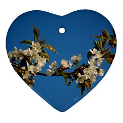 Cherry Blossom Heart Ornament (two Sides) by Siebenhuehner