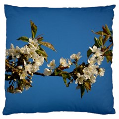 Cherry Blossom Large Cushion Case (single Sided) 