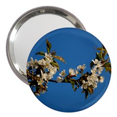 Cherry Blossom 3  Handbag Mirror