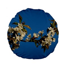 Cherry Blossom 15  Premium Round Cushion 