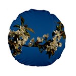 Cherry Blossom 15  Premium Round Cushion  Front