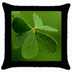 Drops Black Throw Pillow Case