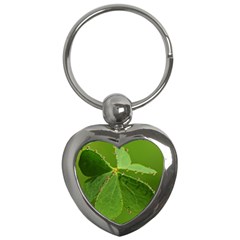 Drops Key Chain (heart) by Siebenhuehner