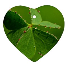 Drops Heart Ornament (two Sides) by Siebenhuehner