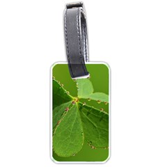 Drops Luggage Tag (one Side) by Siebenhuehner