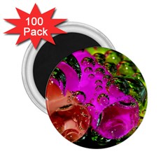 Tubules 2 25  Button Magnet (100 Pack) by Siebenhuehner