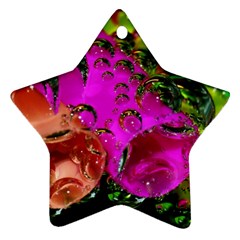 Tubules Star Ornament (two Sides)