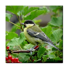 Songbird Ceramic Tile by Siebenhuehner