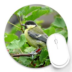 Songbird 8  Mouse Pad (round) by Siebenhuehner