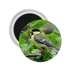 Songbird 2 25  Button Magnet