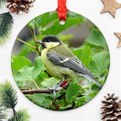 Songbird Round Ornament