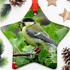 Songbird Star Ornament by Siebenhuehner