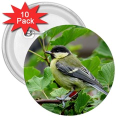 Songbird 3  Button (10 Pack) by Siebenhuehner