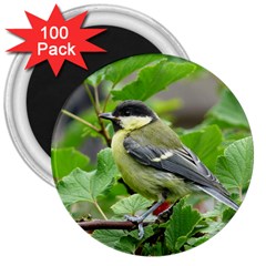 Songbird 3  Button Magnet (100 Pack)