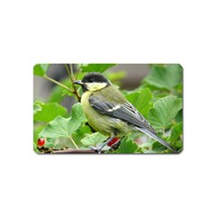 Songbird Magnet (name Card)