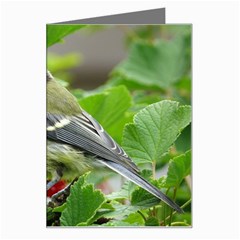 Songbird Greeting Card