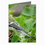 Songbird Greeting Card Left