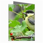 Songbird Greeting Card Right