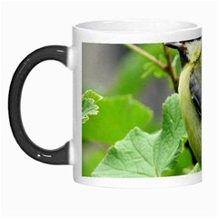 Songbird Morph Mug