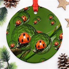 Ladybird Round Ornament