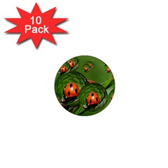 Ladybird 1  Mini Button Magnet (10 Pack)