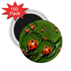 Ladybird 2 25  Button Magnet (100 Pack) by Siebenhuehner