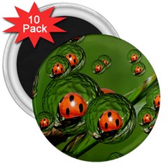 Ladybird 3  Button Magnet (10 Pack) by Siebenhuehner