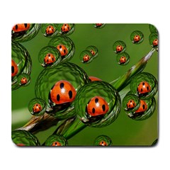 Ladybird Large Mouse Pad (rectangle)