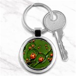 Ladybird Key Chain (Round) Front