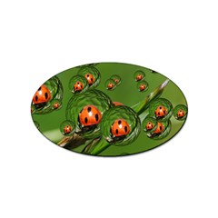 Ladybird Sticker (oval) by Siebenhuehner