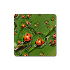 Ladybird Magnet (square)