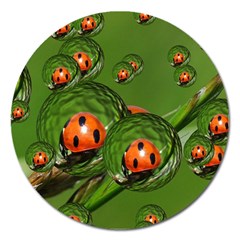 Ladybird Magnet 5  (round)