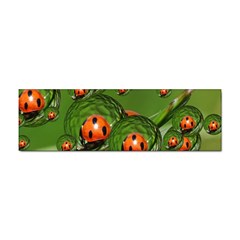 Ladybird Bumper Sticker 100 Pack by Siebenhuehner