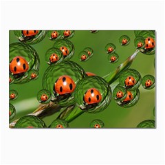 Ladybird Postcards 5  X 7  (10 Pack) by Siebenhuehner