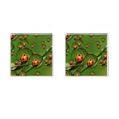 Ladybird Cufflinks (square) by Siebenhuehner