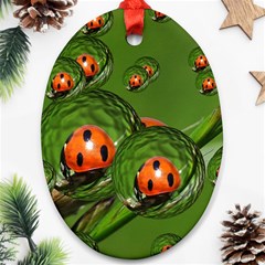 Ladybird Oval Ornament (two Sides) by Siebenhuehner