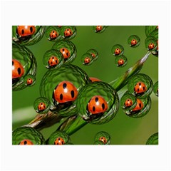 Ladybird Glasses Cloth (small, Two Sided) by Siebenhuehner