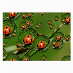 Ladybird Glasses Cloth (large, Two Sided)