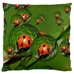 Ladybird Large Cushion Case (two Sided) 