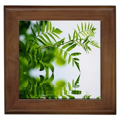 Leafs With Waterreflection Framed Ceramic Tile