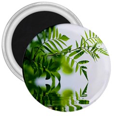 Leafs With Waterreflection 3  Button Magnet by Siebenhuehner