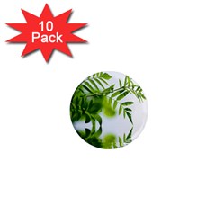 Leafs With Waterreflection 1  Mini Button Magnet (10 Pack)