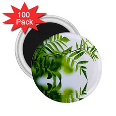 Leafs With Waterreflection 2 25  Button Magnet (100 Pack) by Siebenhuehner