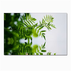 Leafs With Waterreflection Postcard 4 x 6  (10 Pack) by Siebenhuehner