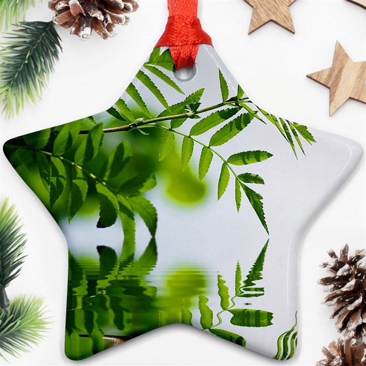 Leafs With Waterreflection Star Ornament (Two Sides)