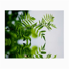 Leafs With Waterreflection Glasses Cloth (small, Two Sided) by Siebenhuehner