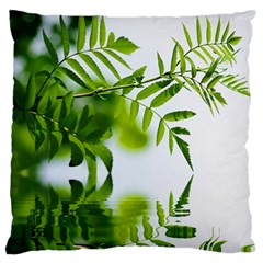 Leafs With Waterreflection Large Cushion Case (two Sided)  by Siebenhuehner